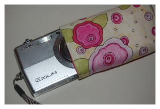 Camera Pouch